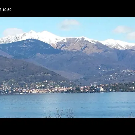 Verdelago *